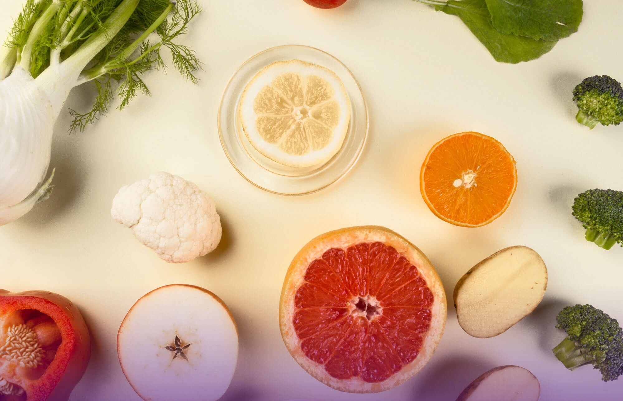 The Role of Nutrition in Collagen Health - image